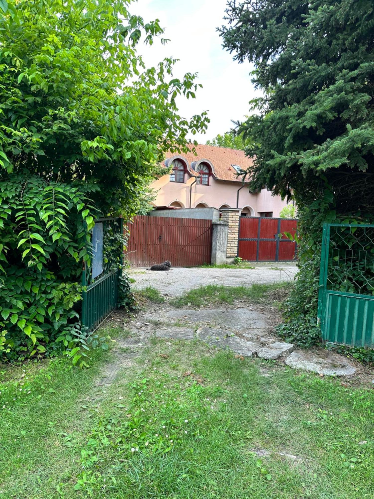 Vila Regina Palić Quarto foto